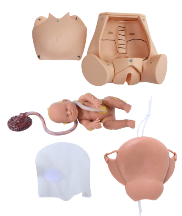 Complete Childbirth Simulator