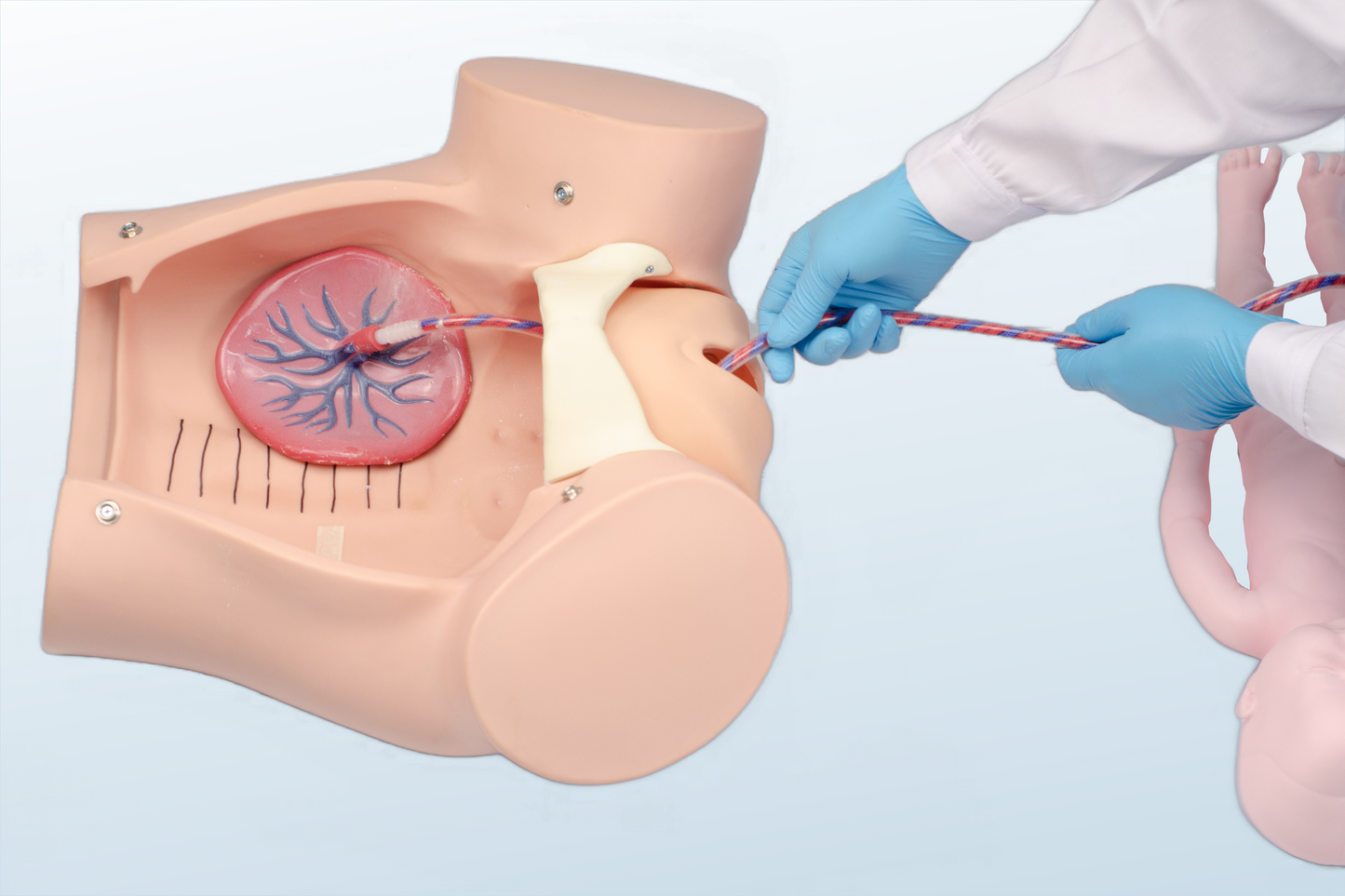 Advanced Childbirth Simulator (MOQ 2 pcs)
