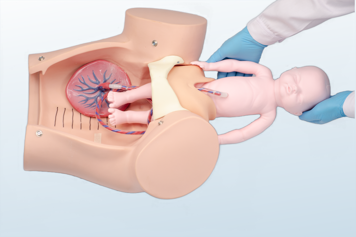 Advanced Childbirth Simulator (MOQ 2 pcs)