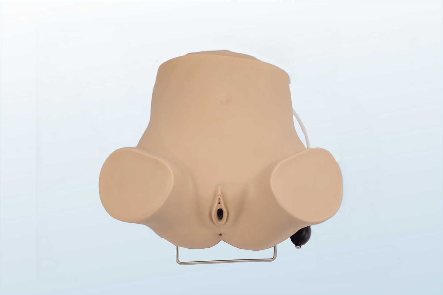 Advanced Gynecologic Examination Trainer (MOQ 2 pcs)