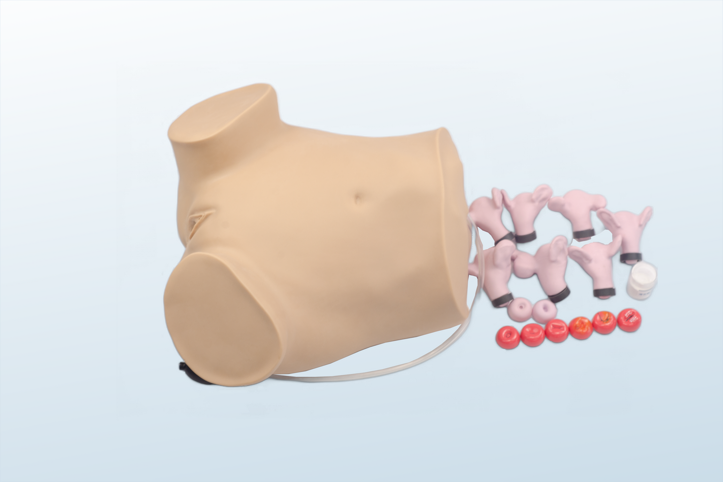 Advanced Gynecologic Examination Trainer (MOQ 2 pcs)