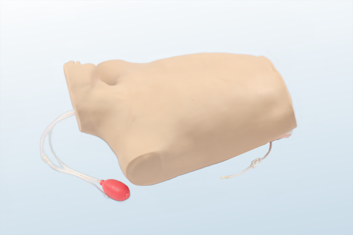 Central Venous Cannulation Simulator (MOQ 2 pcs)