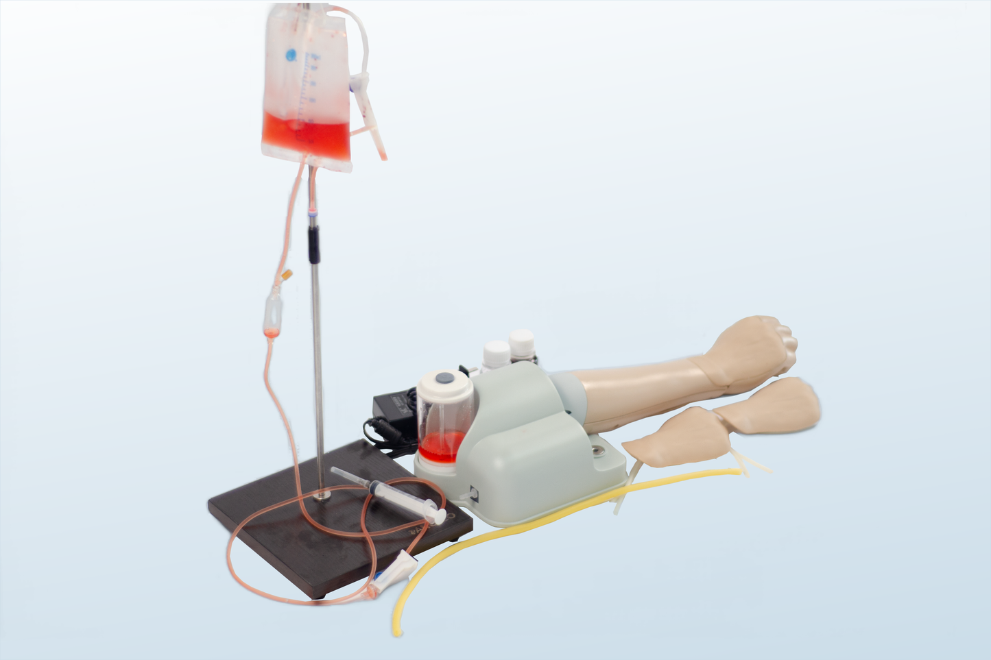 Dorsal Metacarpal Intravenous Infusion Model