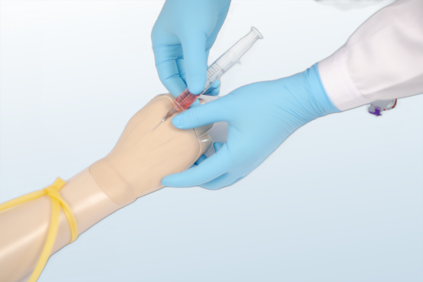 Dorsal Metacarpal Intravenous Infusion Model