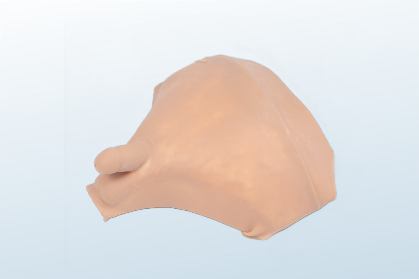Decompressive Cystocentesis/Bladder Puncture Training Simulator (MOQ 4 pcs)
