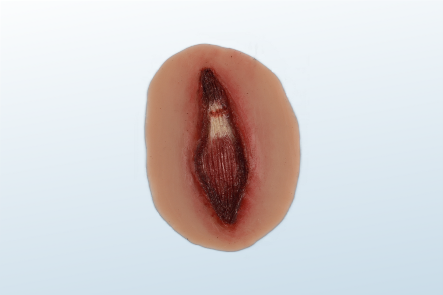 Torn Tendon Halloween Zombie Scars Fake Scar Bloody Costume Makeup Halloween Decoration Terror Wound Scary Blood Simulated Combat Injuries FX Mass Casualty Trauma