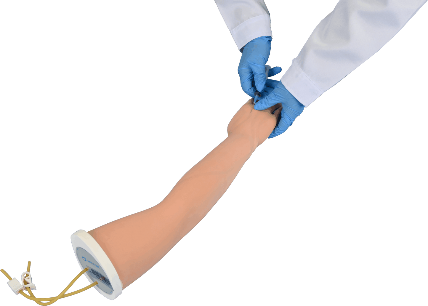 IV Training Arm-Basic