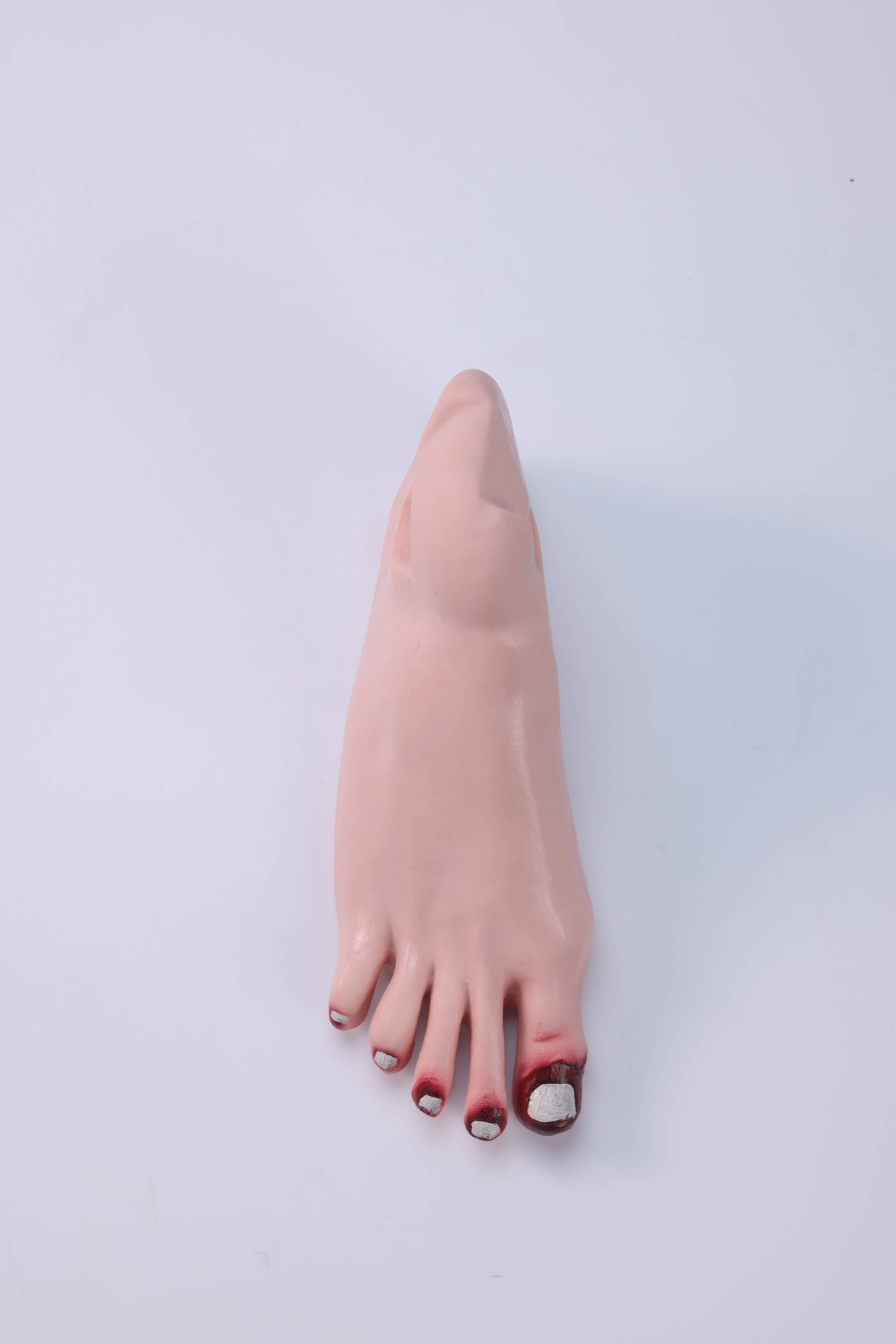 Diabetic Foot Care Model