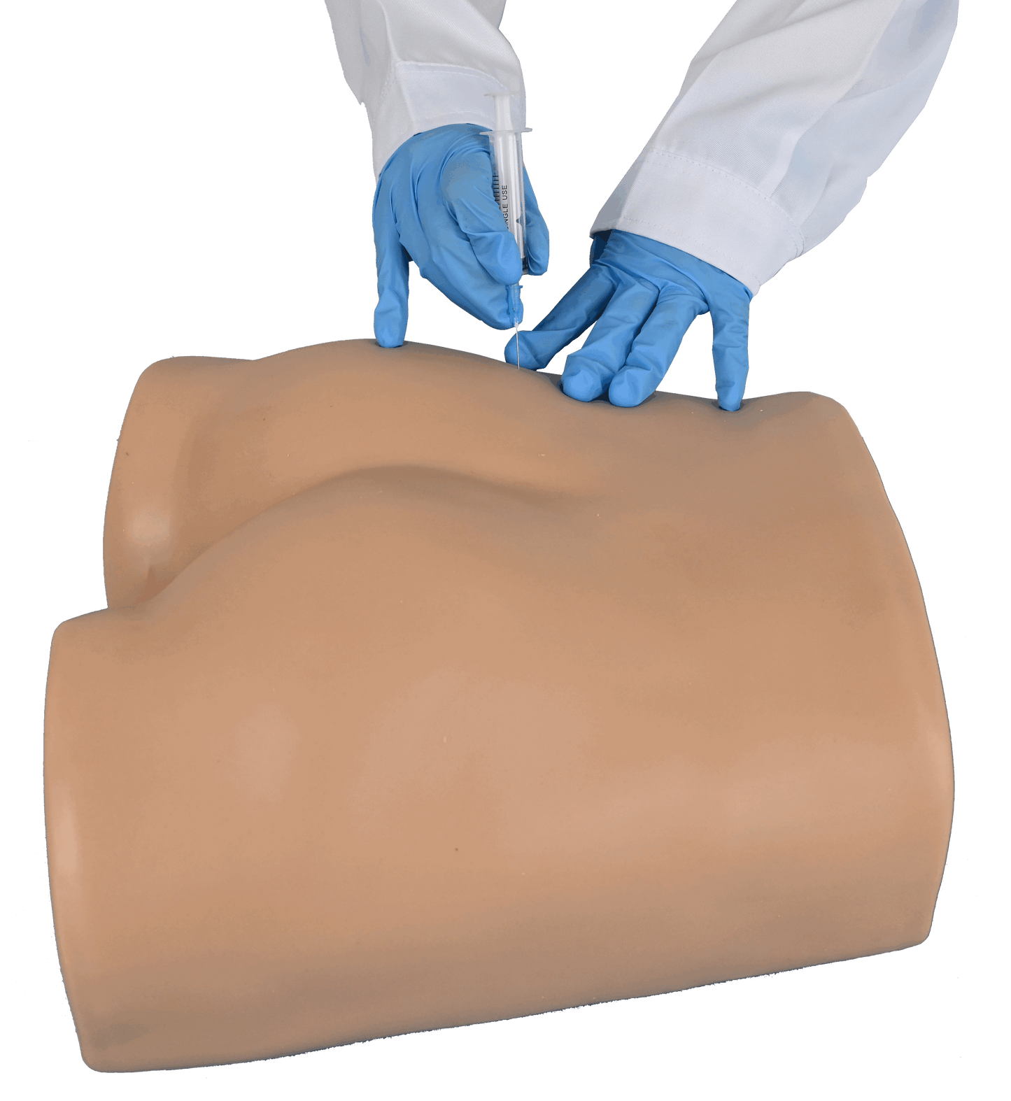 Buttock Injection Model