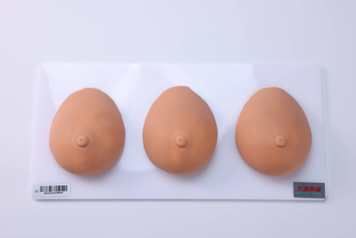 Breast Examination and Massage Teaching Model
