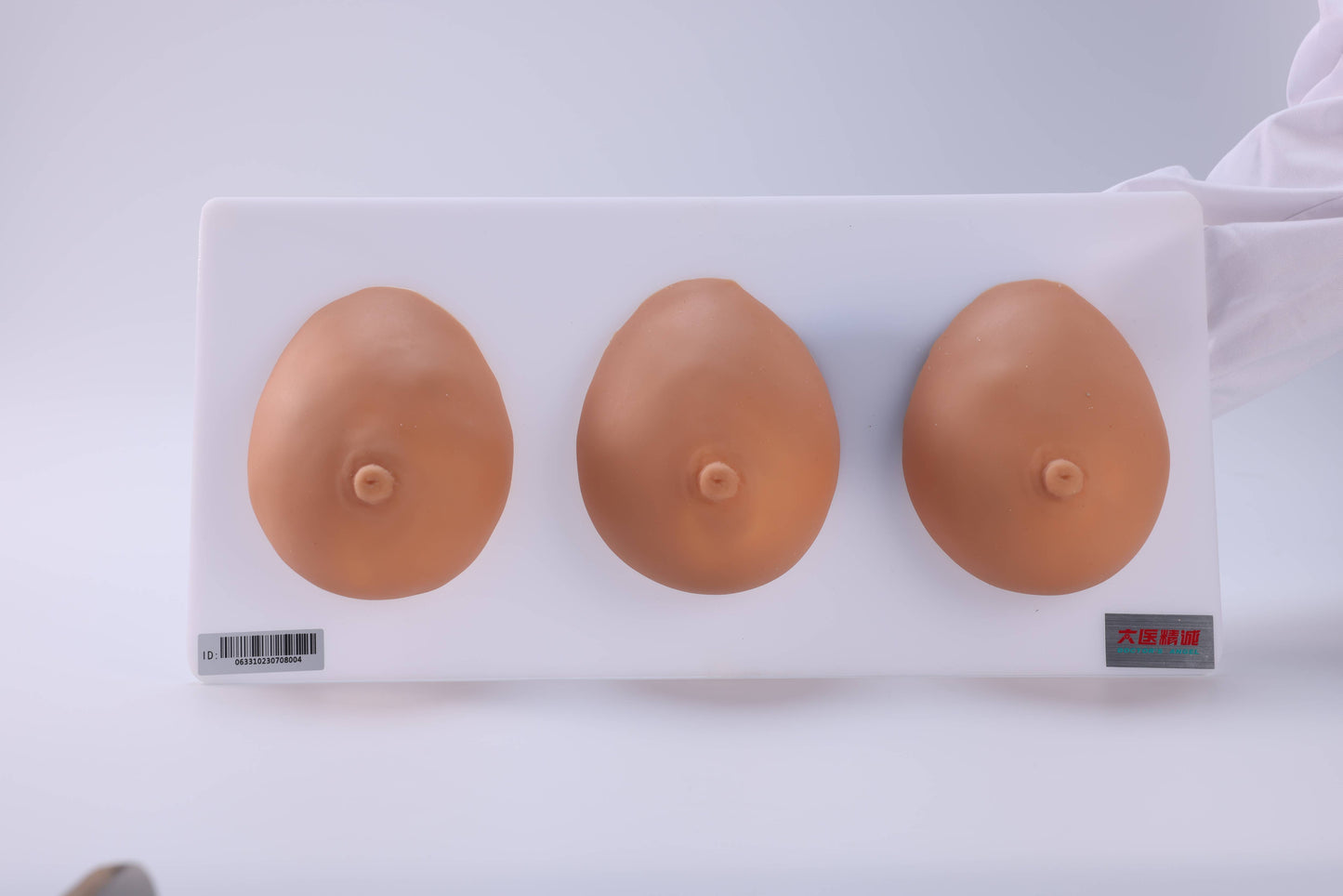 Breast Examination and Massage Teaching Model