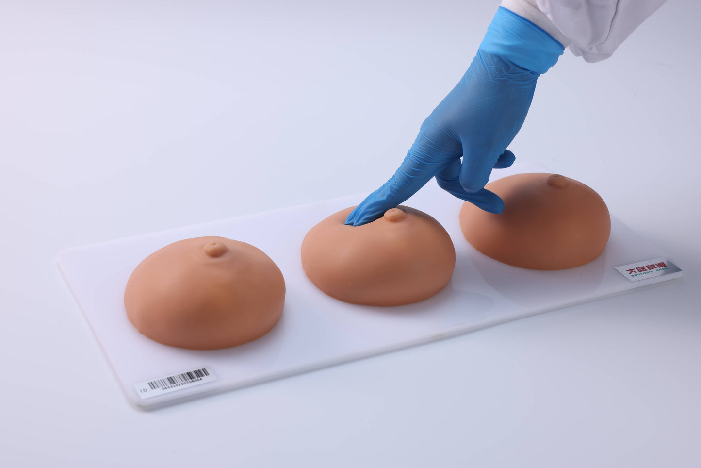 Breast Examination and Massage Teaching Model