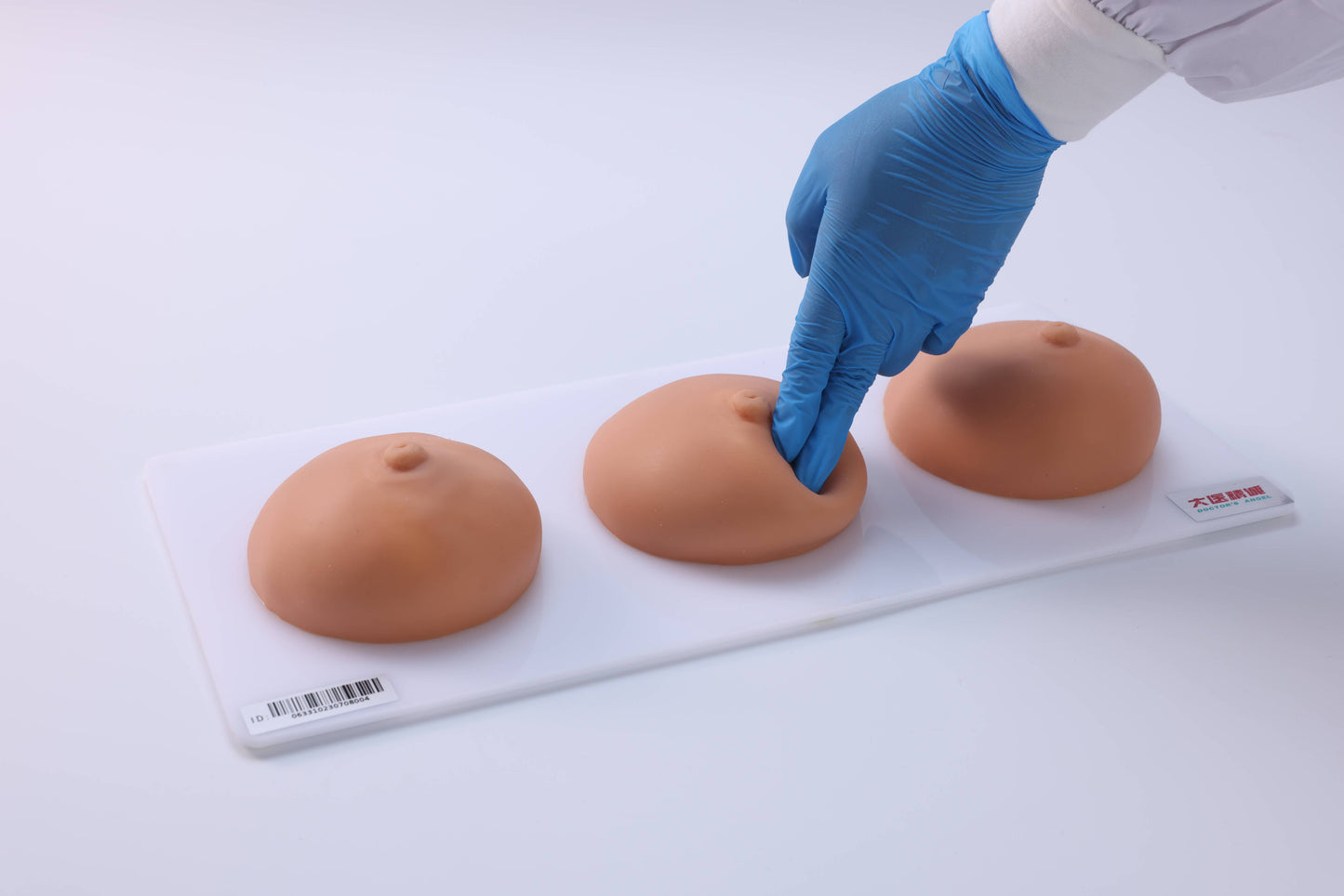 Breast Examination and Massage Teaching Model