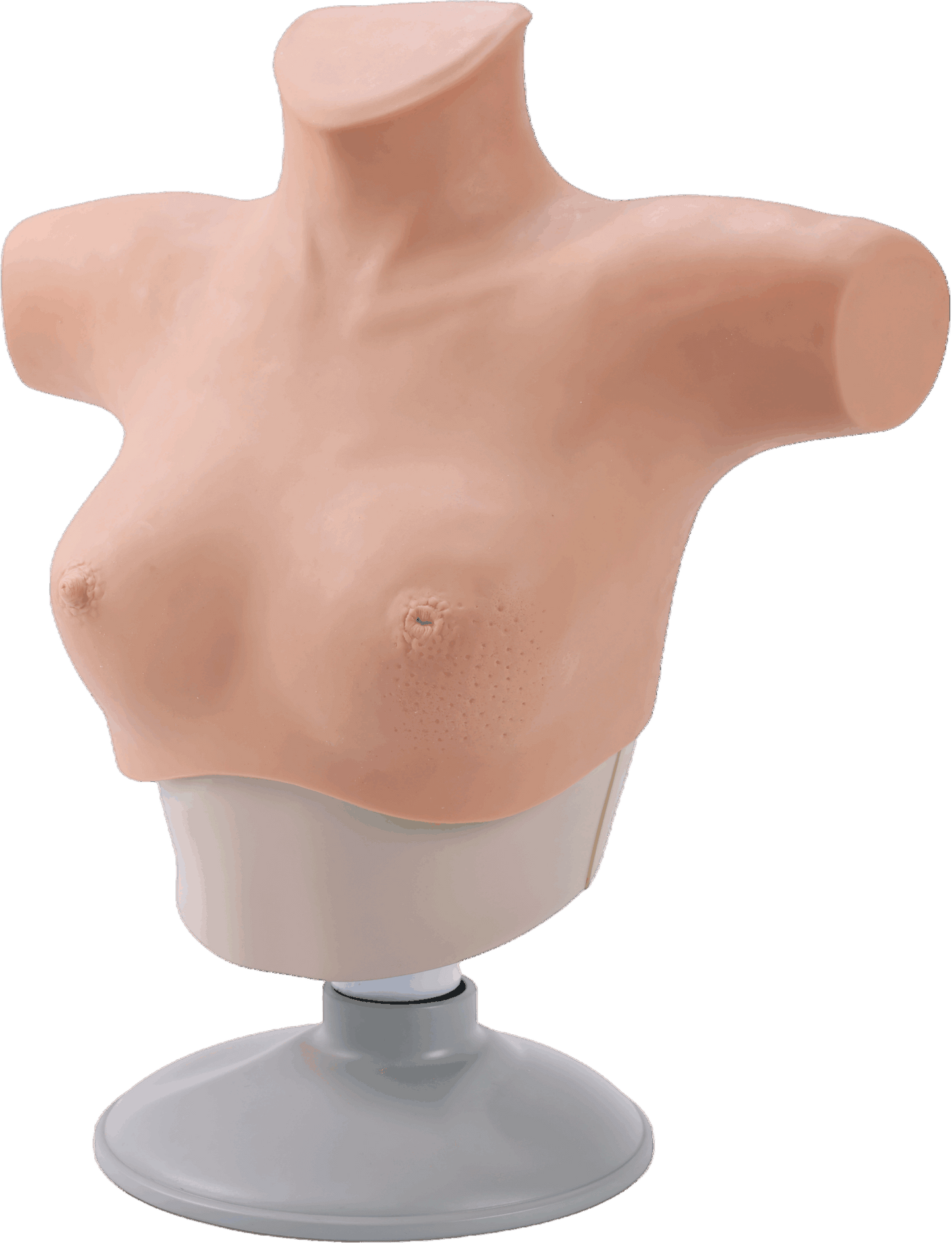 Breast Cancer Palpation and Visual Diagnosis Training Model