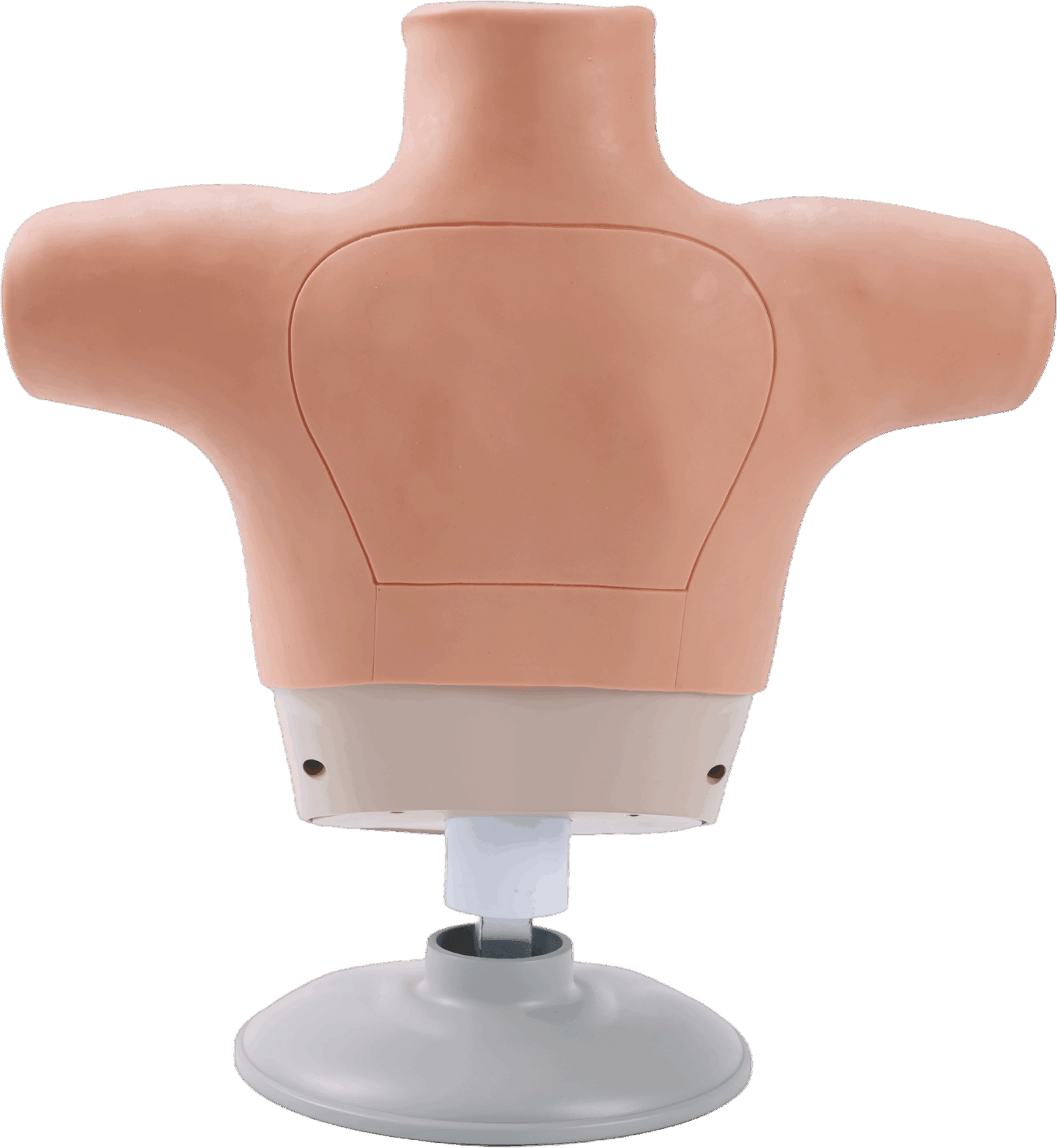 Breast Cancer Palpation and Visual Diagnosis Training Model