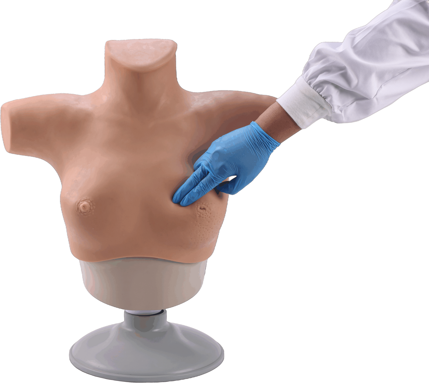 Breast Cancer Palpation and Visual Diagnosis Training Model