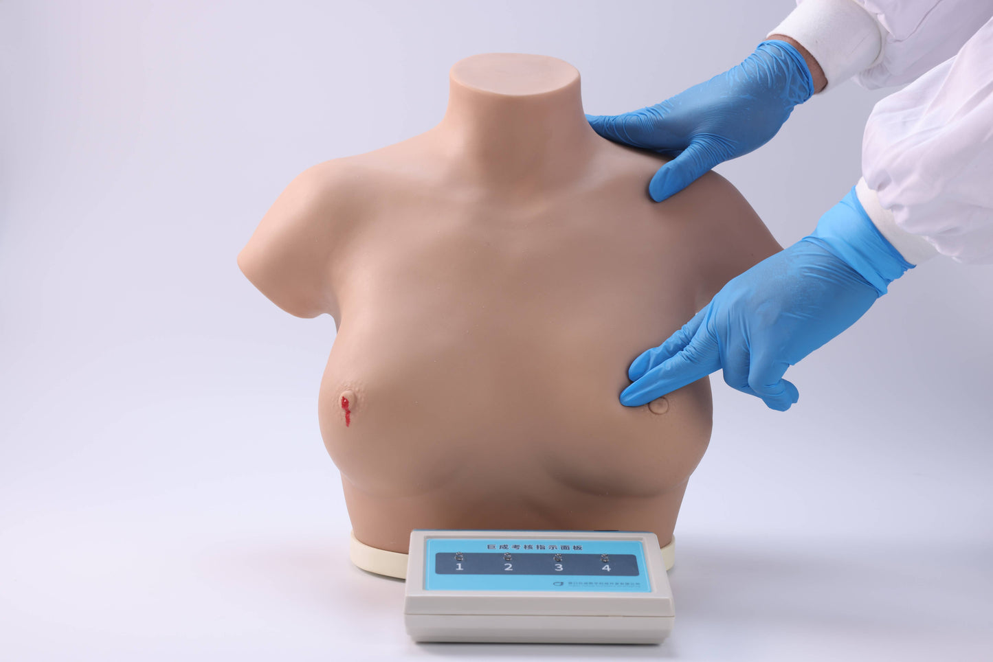 Breast Cancer Inspection and Palpation Model