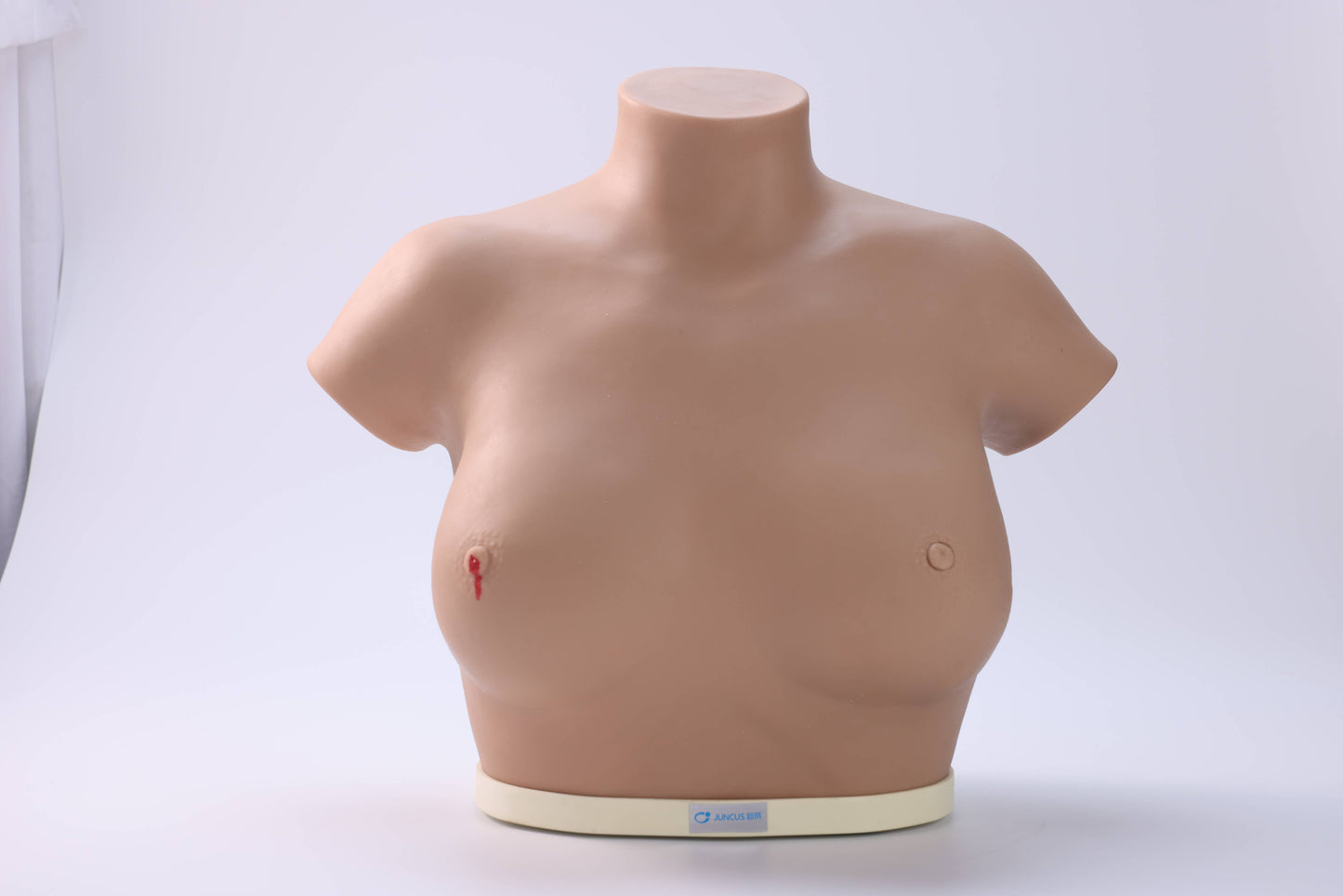 Breast Cancer Inspection and Palpation Model