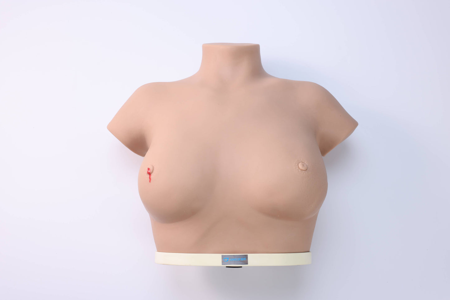 Breast Cancer Inspection and Palpation Model