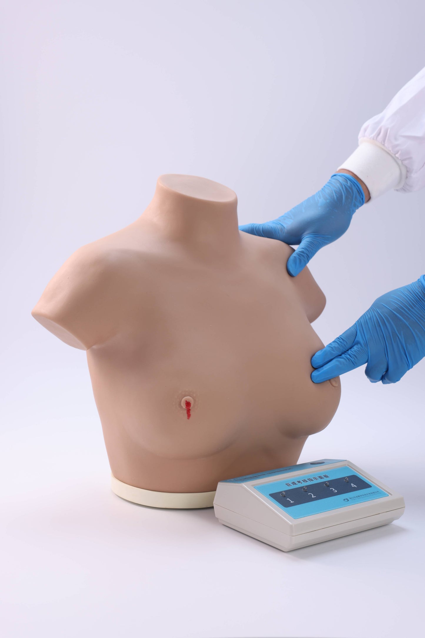 Breast Cancer Inspection and Palpation Model