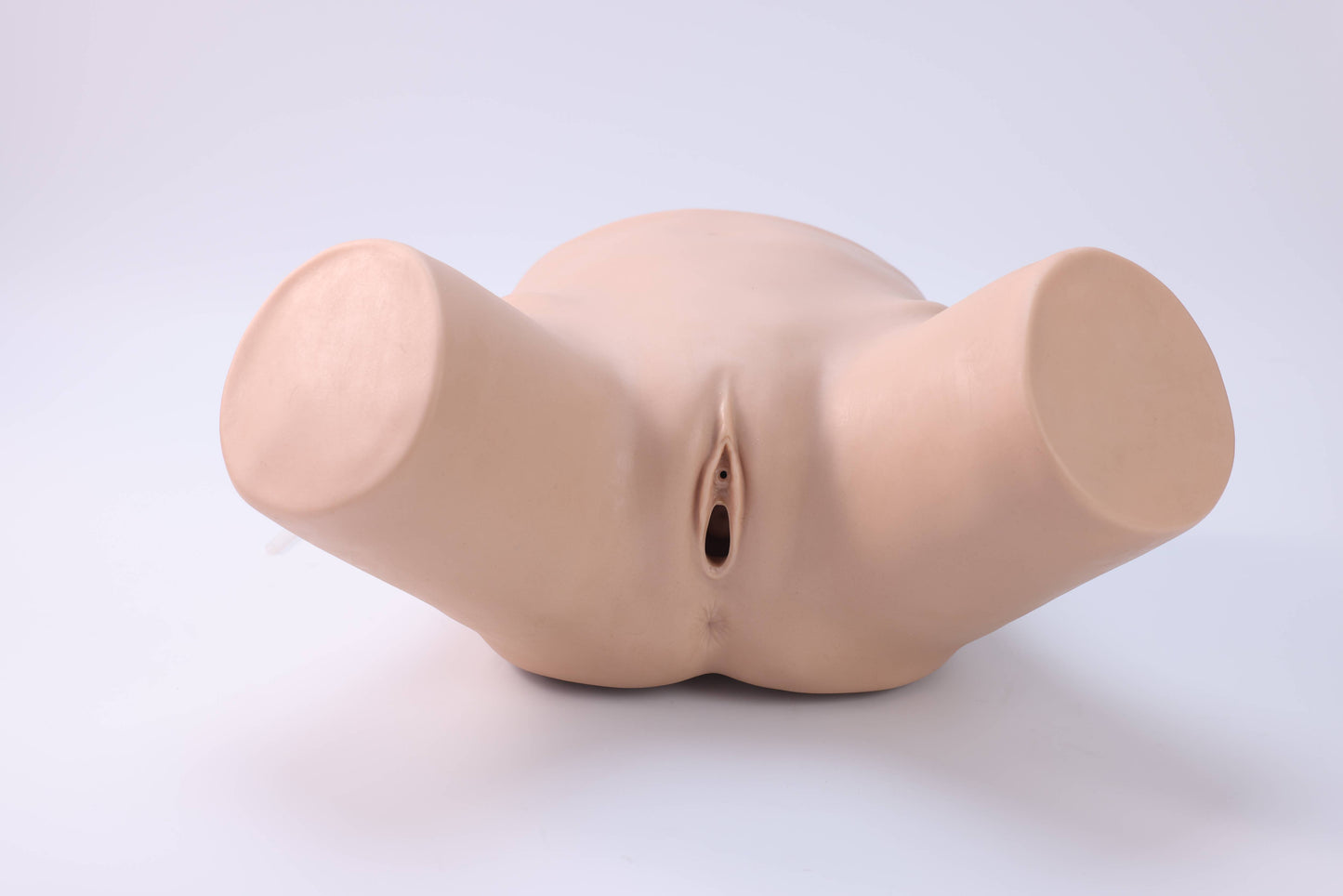 Female Catheterization Trainer