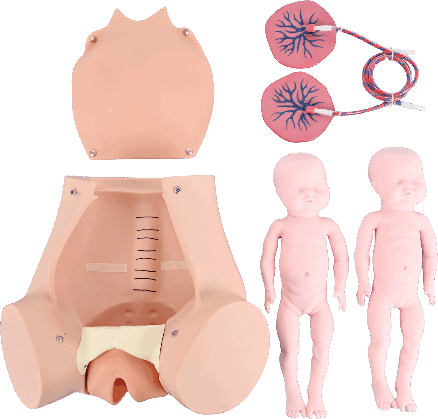 Childbirth Simulator