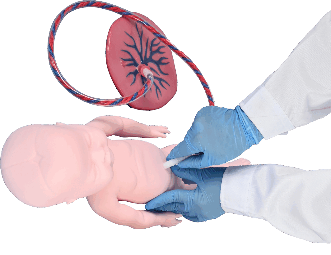 Childbirth Simulator