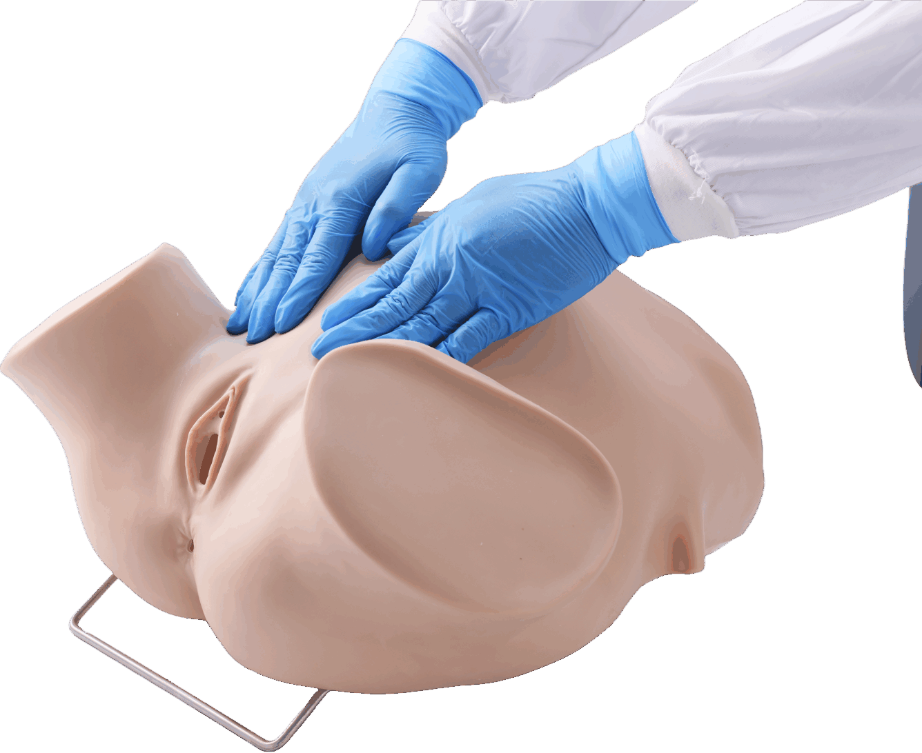 Four-step Palpation Training Model