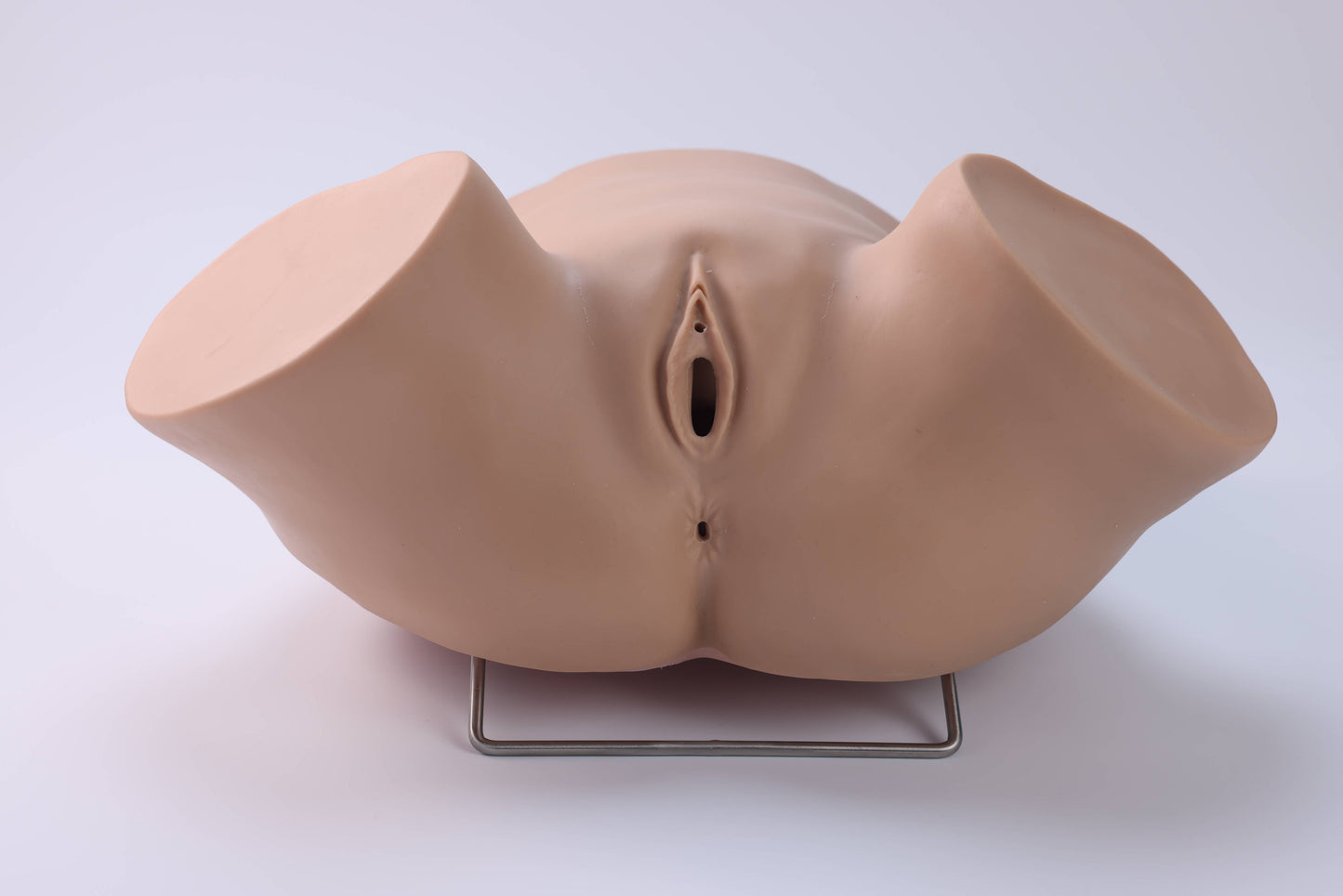 Diagnostic Curettage Training Model