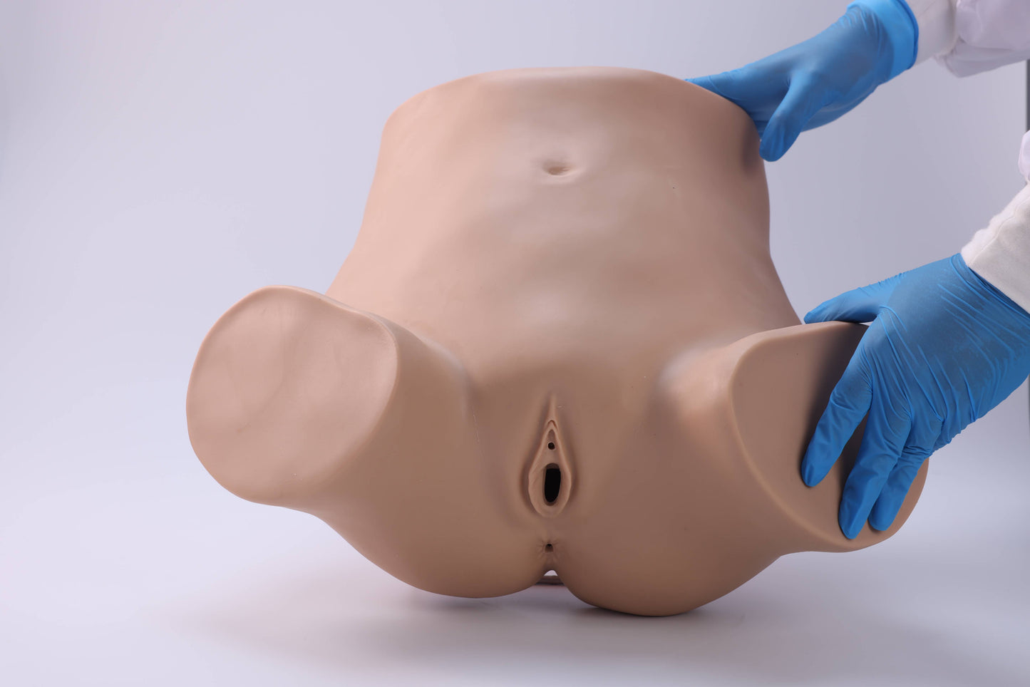 Diagnostic Curettage Training Model