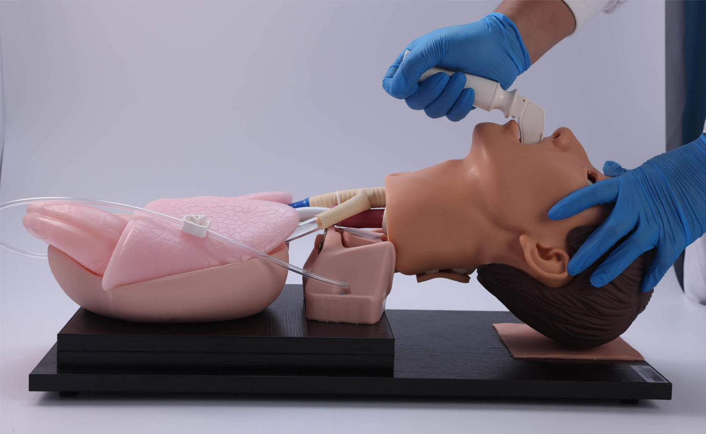Adult Tracheal Intubation Training Model