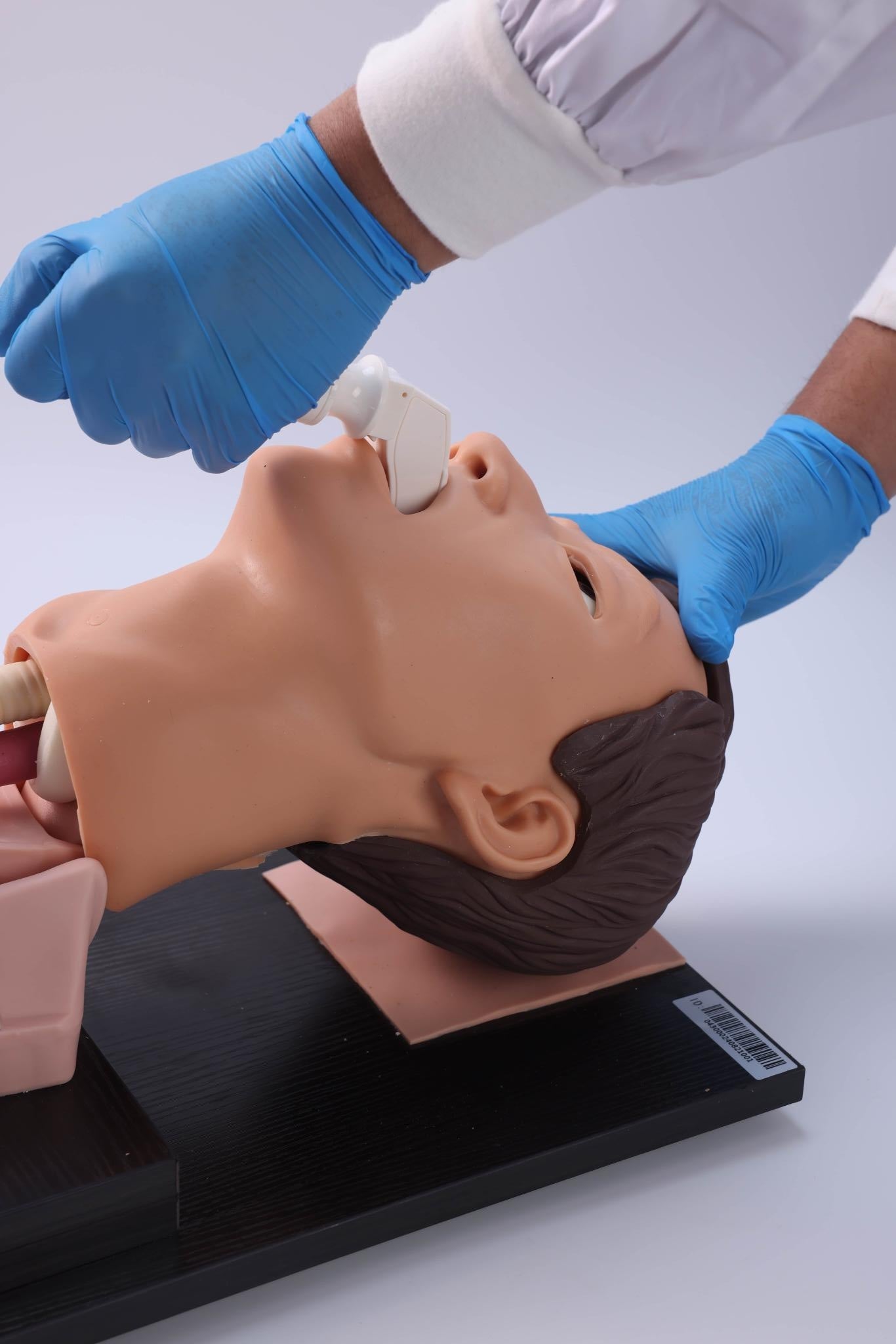Adult Tracheal Intubation Training Model