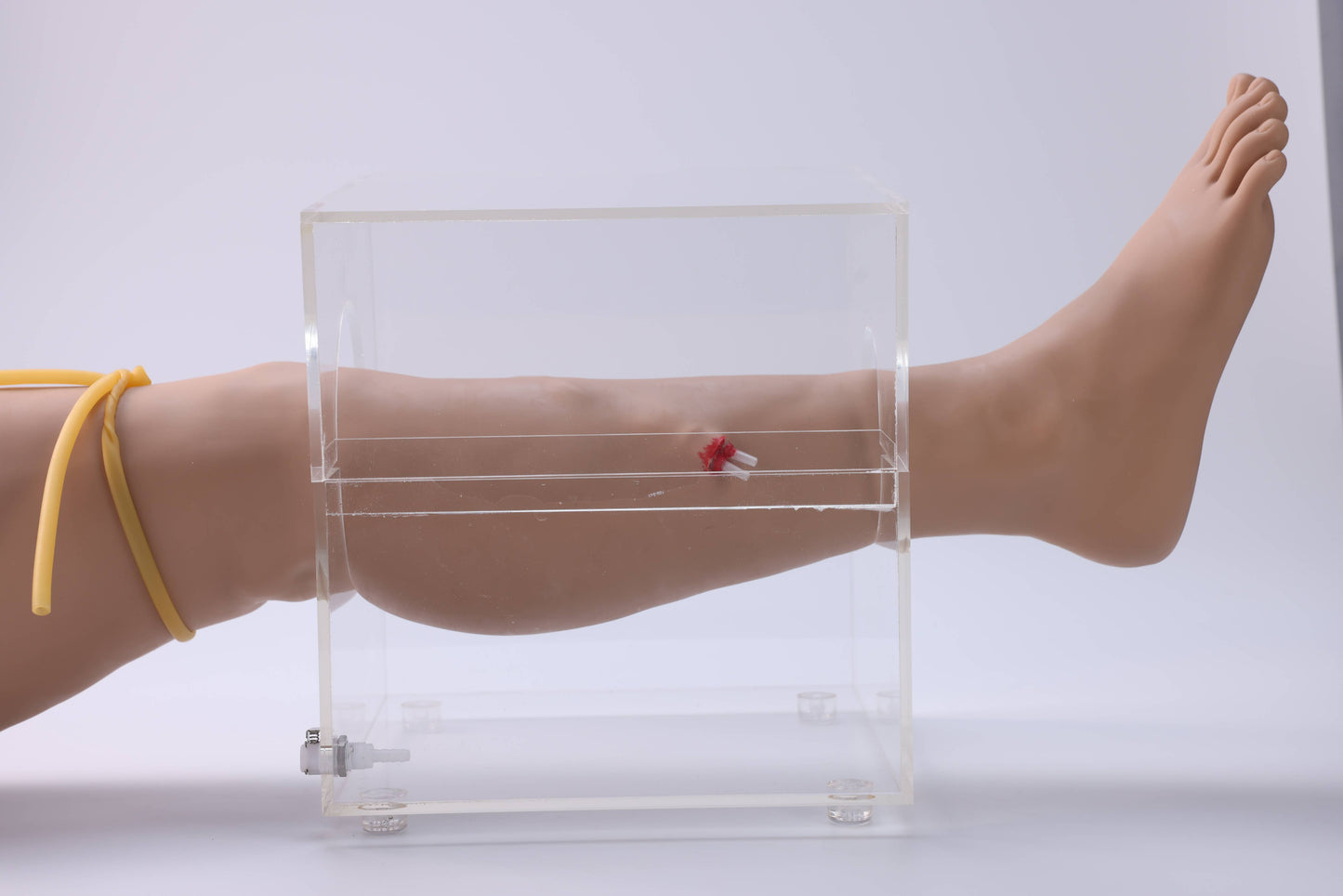 Lower Limb Hemostasis Training Model( Electric)