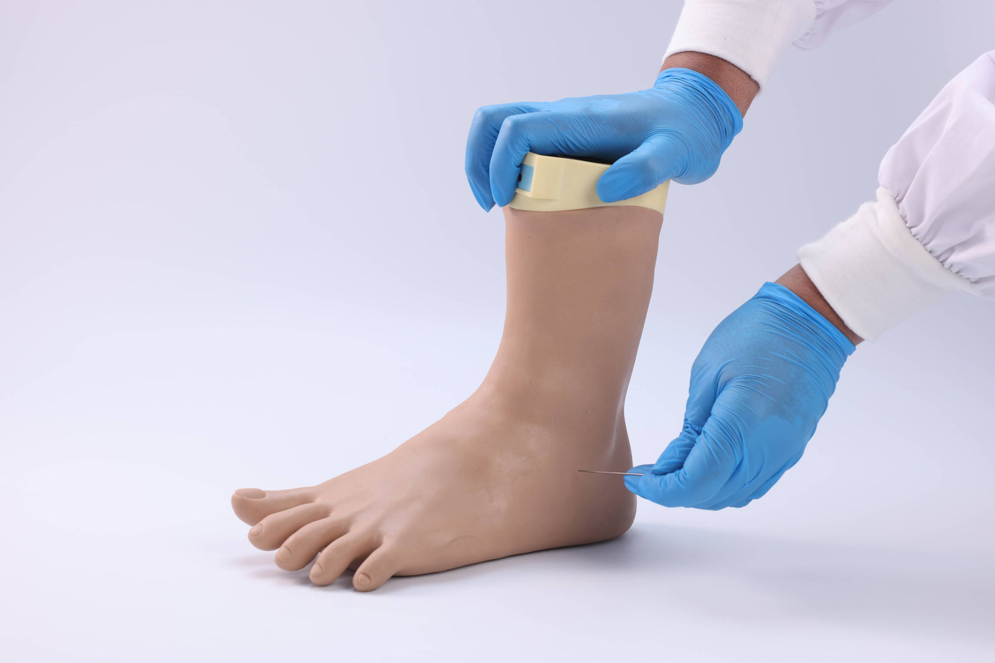 Foot and Ankle Joint Block  Model