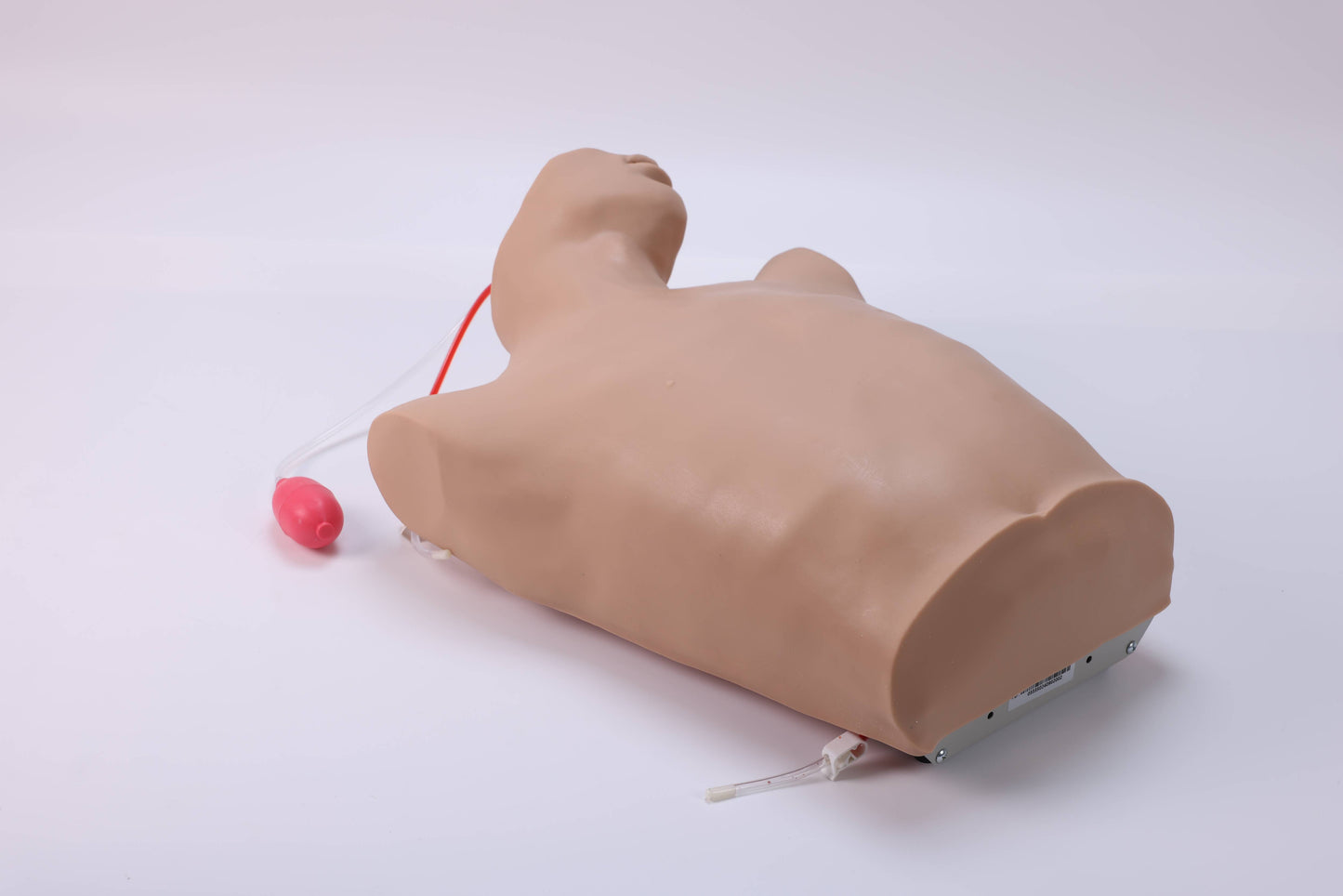 Central Venous Puncture & Catheterization Model
