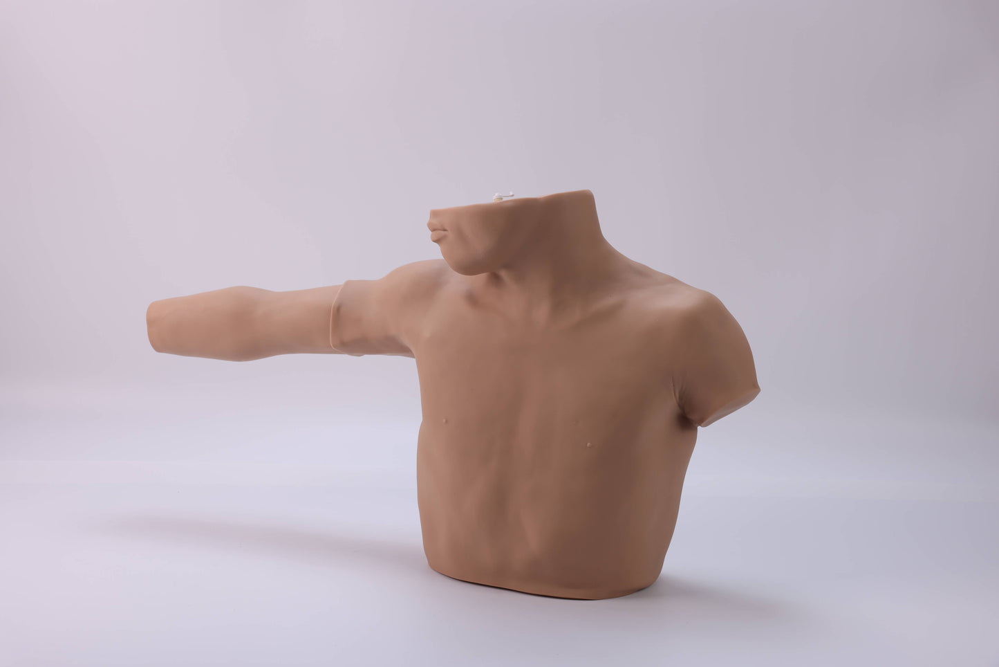 Peripheral Venous Puncture & Catheterization Model