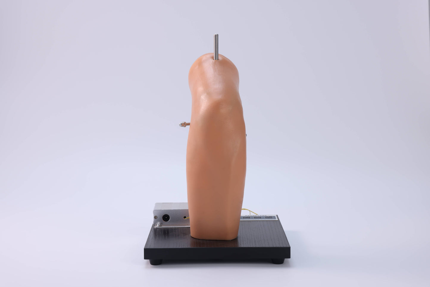 Elbow Joint Puncture Model