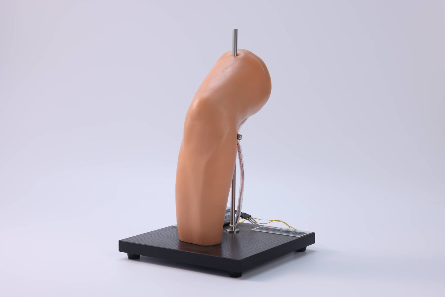 Elbow Joint Puncture Model