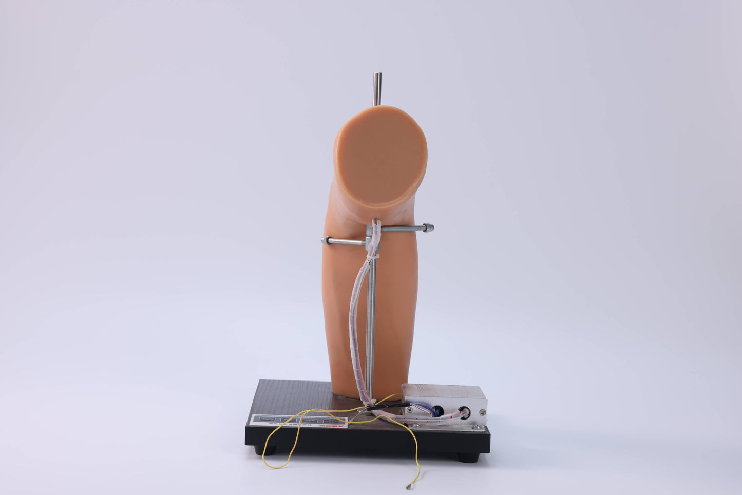 Elbow Joint Puncture Model