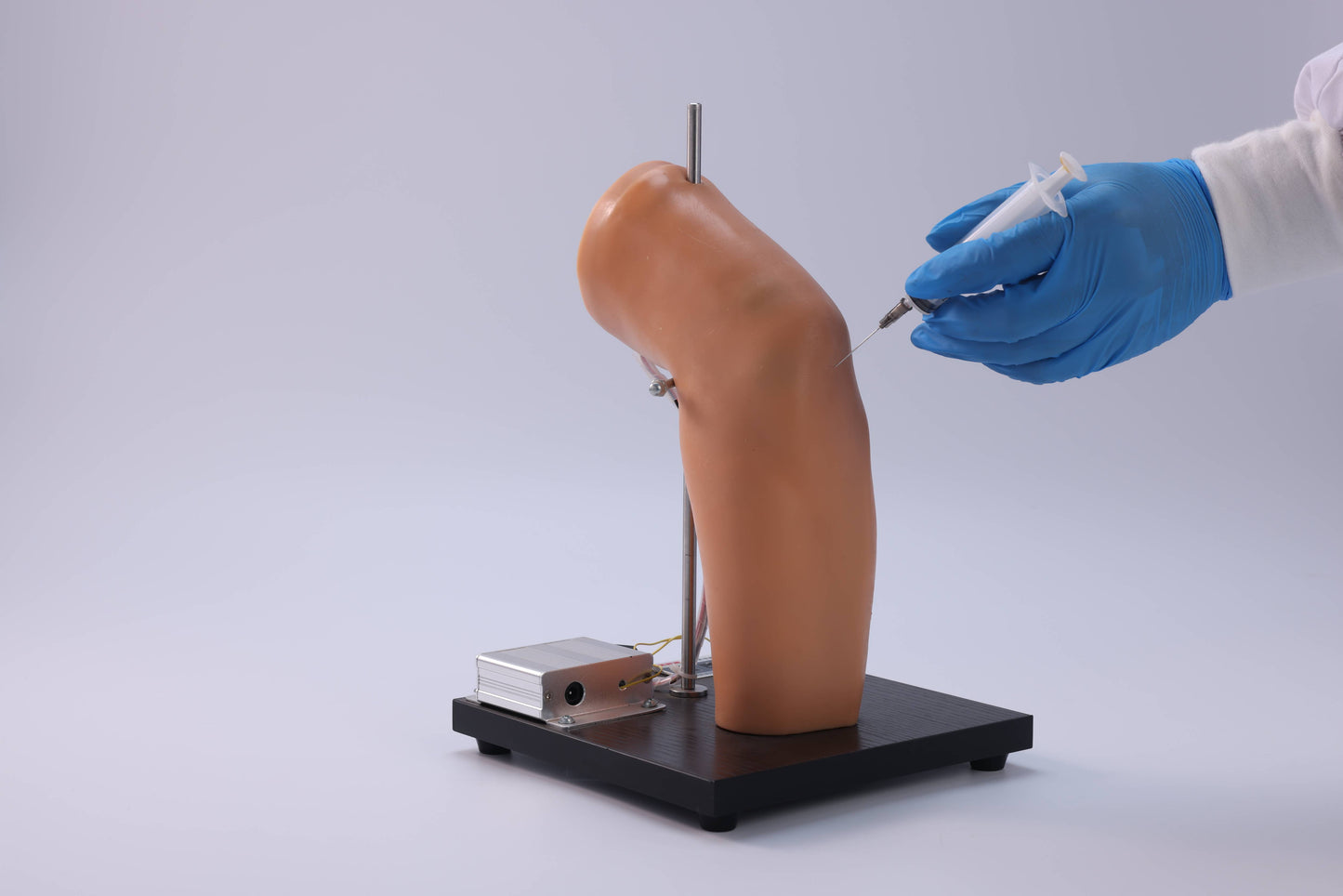 Elbow Joint Puncture Model