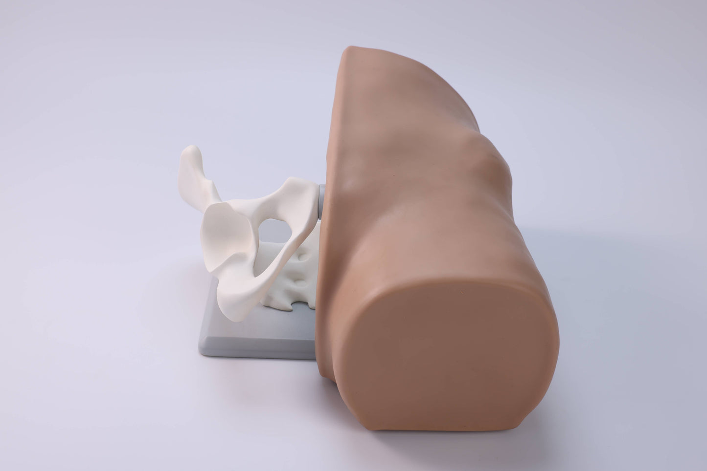 Anterior Superior Iliac Spine Aspiration Model