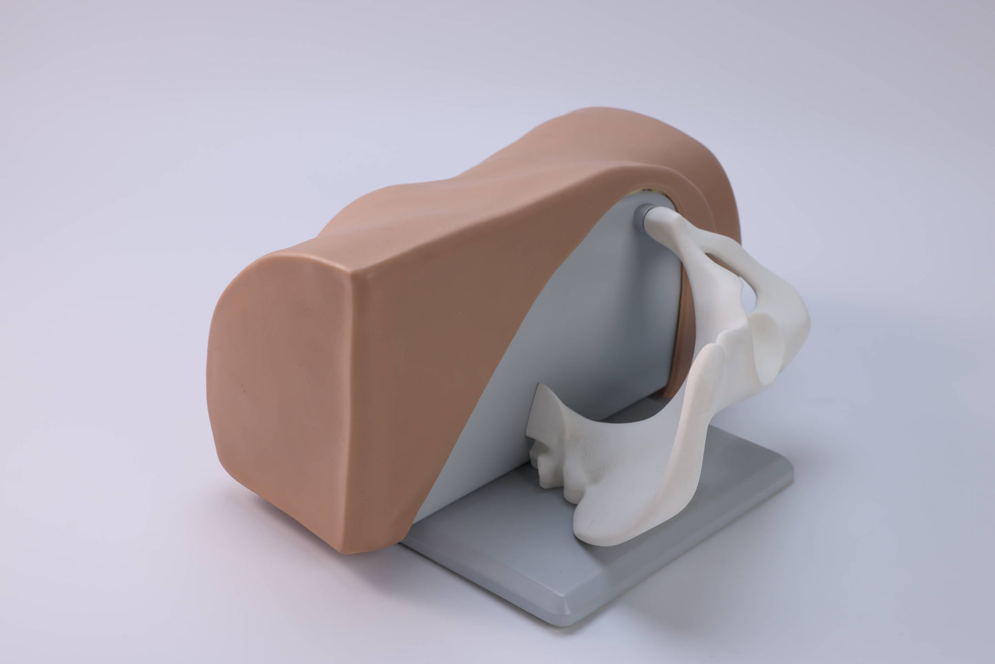 Anterior Superior Iliac Spine Aspiration Model