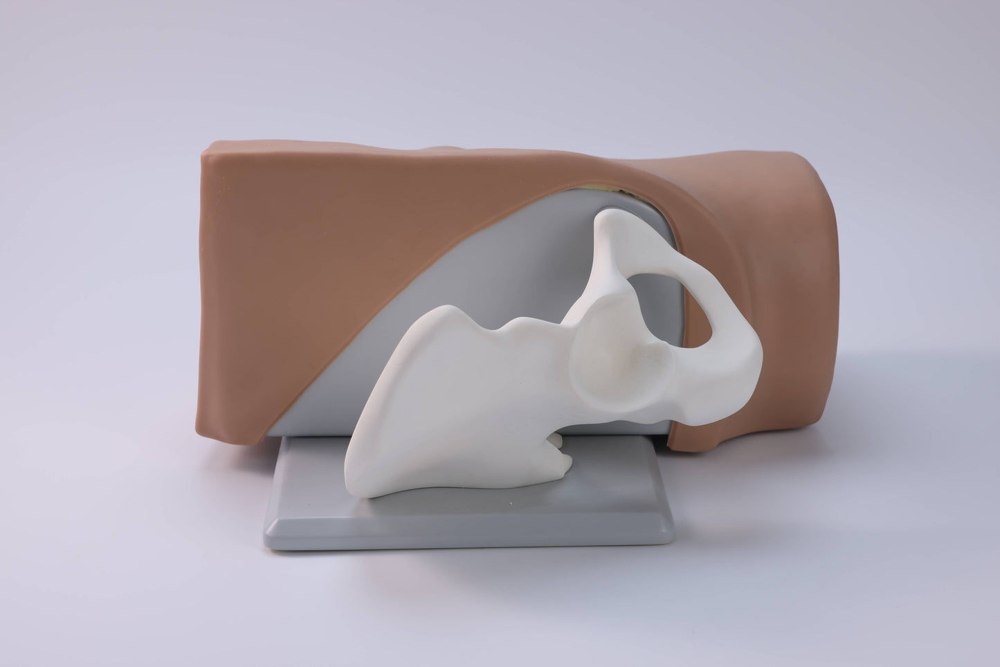 Anterior Superior Iliac Spine Aspiration Model