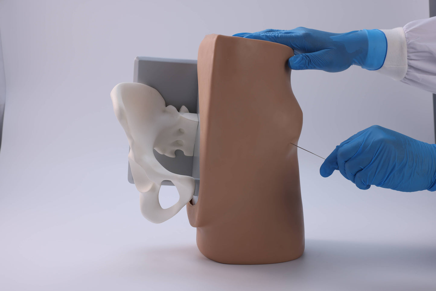Anterior Superior Iliac Spine Aspiration Model