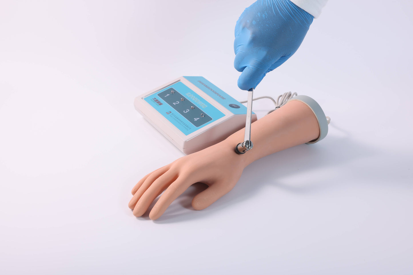 Forearm Nerve Examination Model