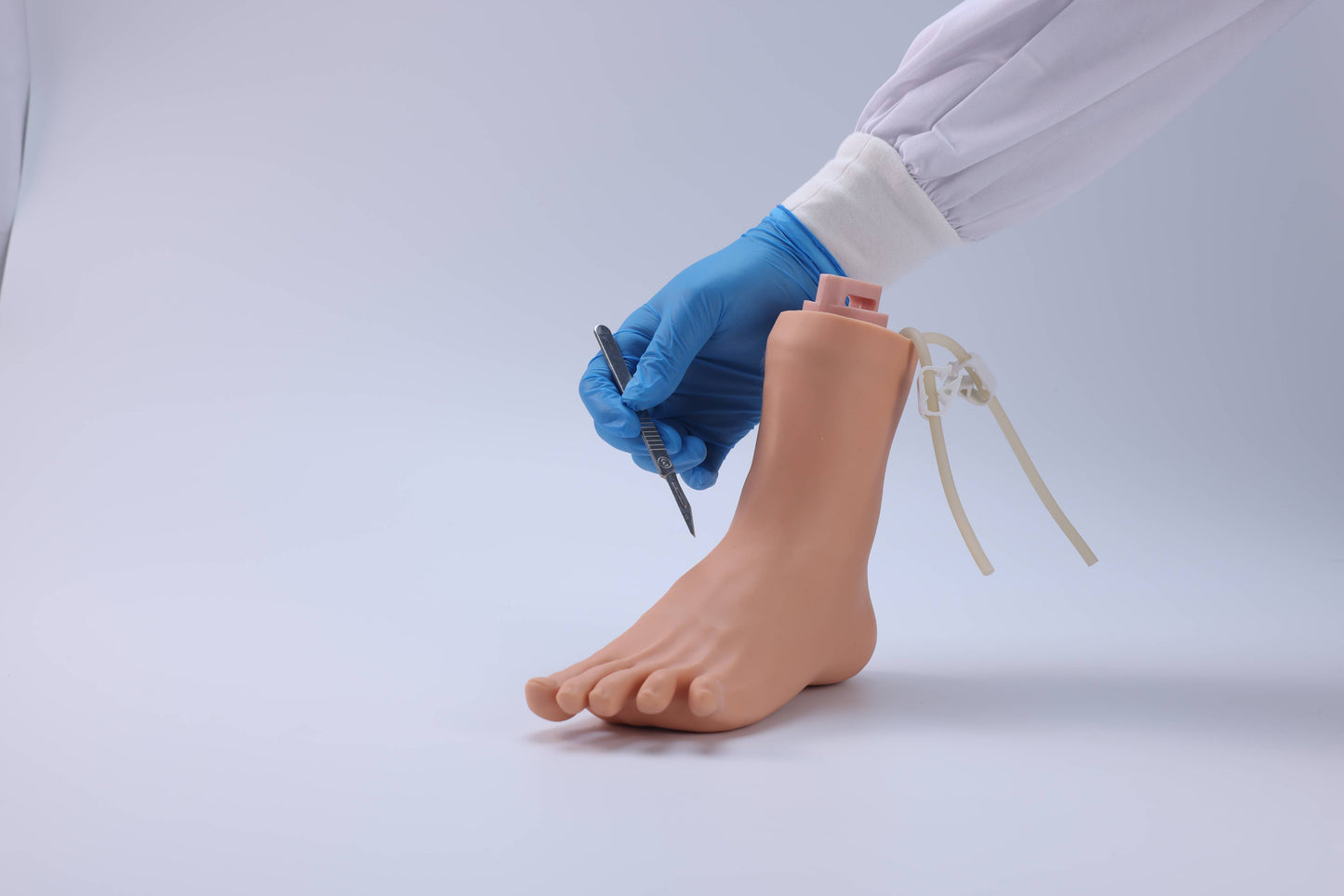 Lower Limb Venous Incision Model