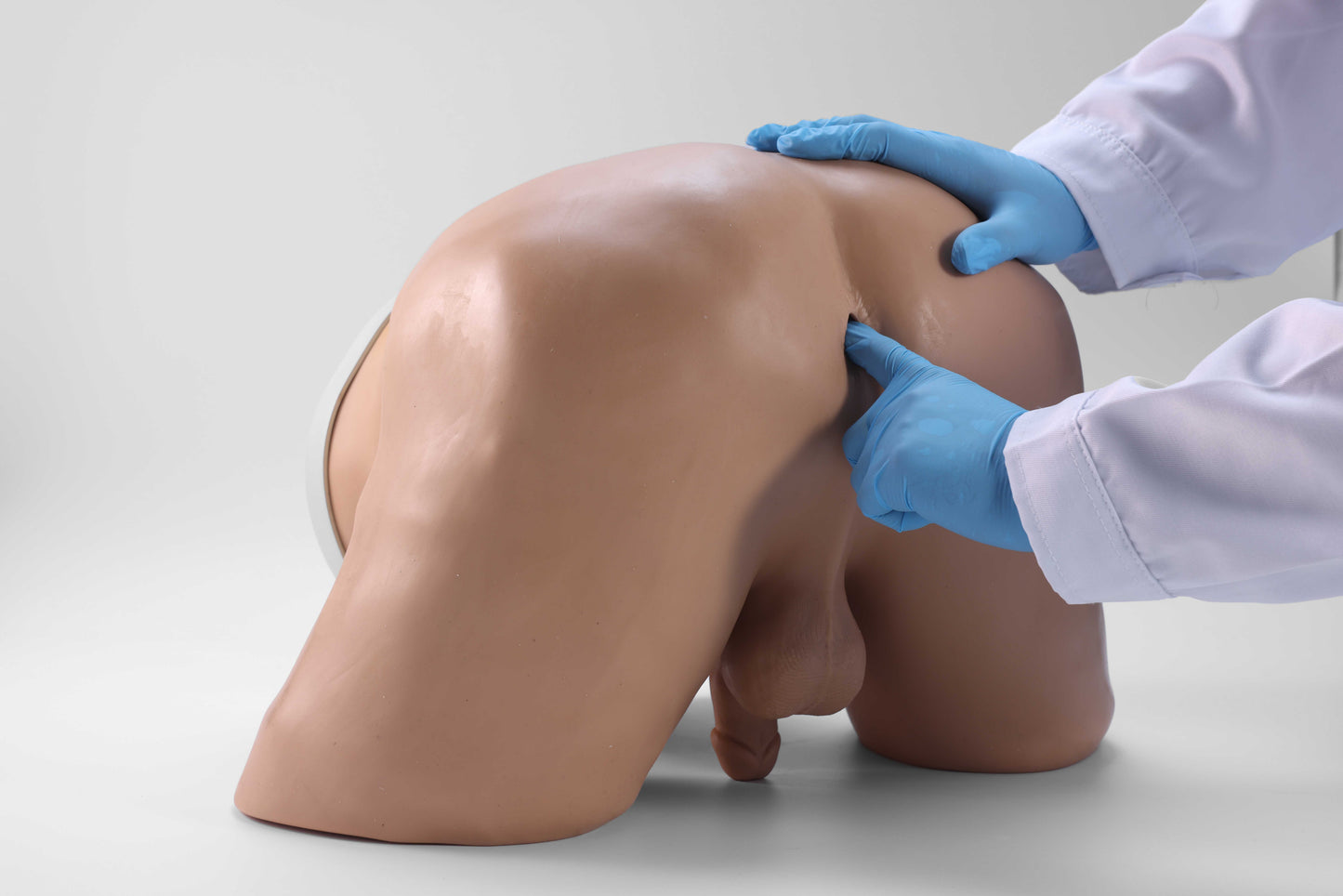 Digital Rectal Examination Model