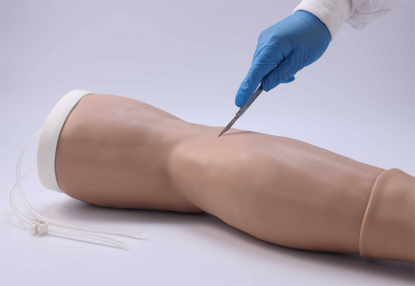 Great Saphenous Vein Incision Model