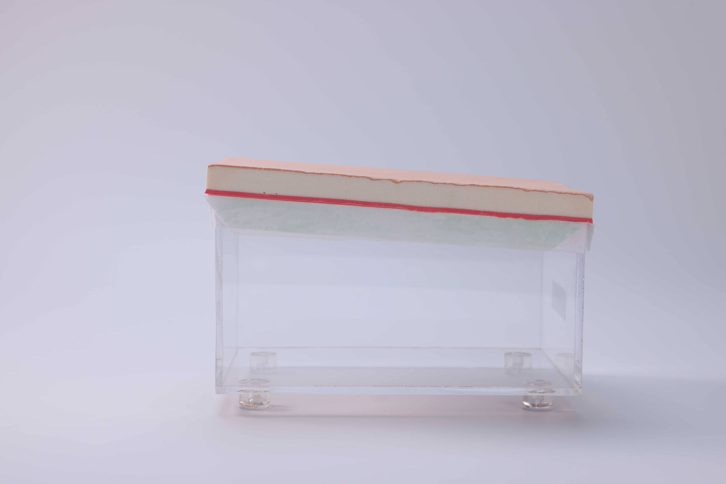 Abdominal Incision & Closure Trainer