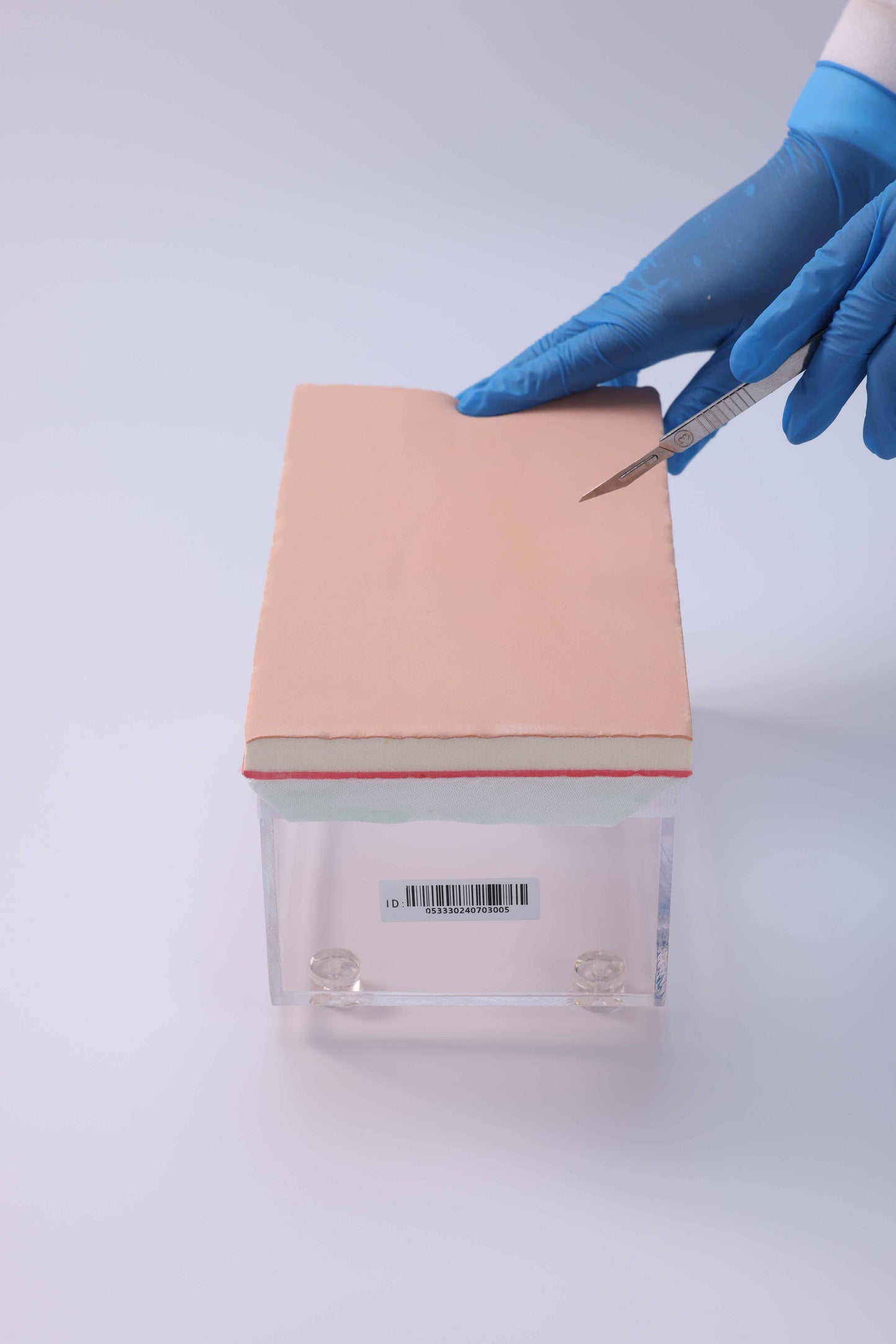 Abdominal Incision & Closure Trainer